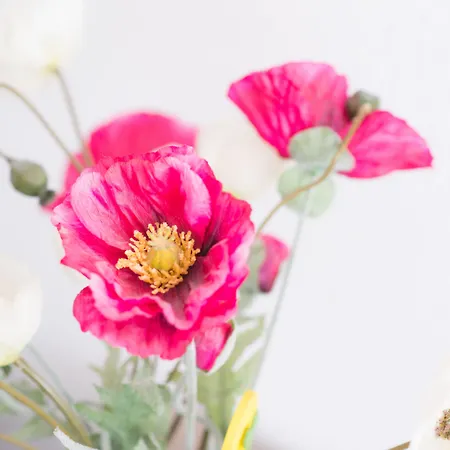 Haus Am Dom - Und Διαμέρισμα Κολωνία