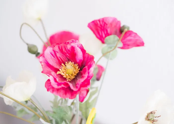 Haus Am Dom - Und Daire Köln